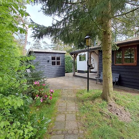 Sfeervol Chalet De Dassenburcht Emst Luaran gambar