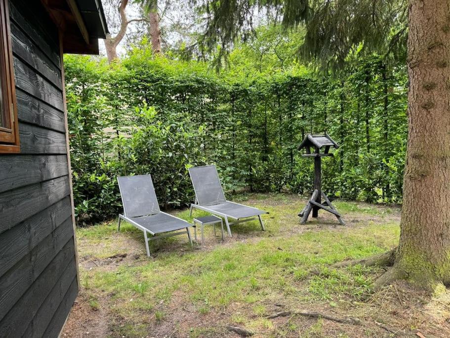 Sfeervol Chalet De Dassenburcht Emst Luaran gambar